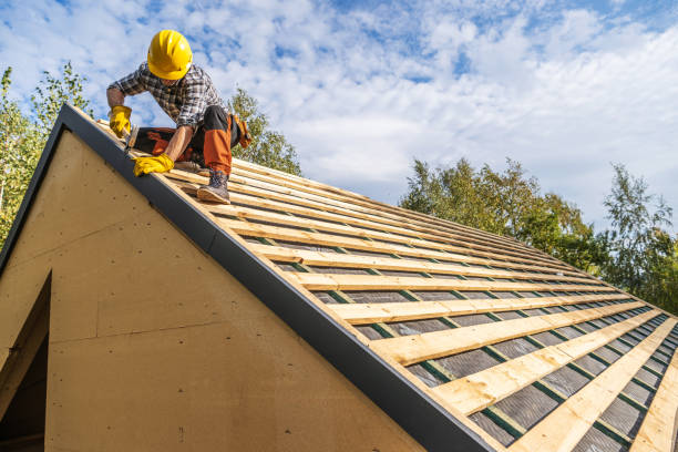 Best Storm Damage Roof Repair  in Ripley, MS