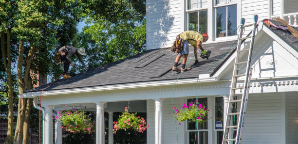 Best Flat Roof Repair Services  in Ripley, MS