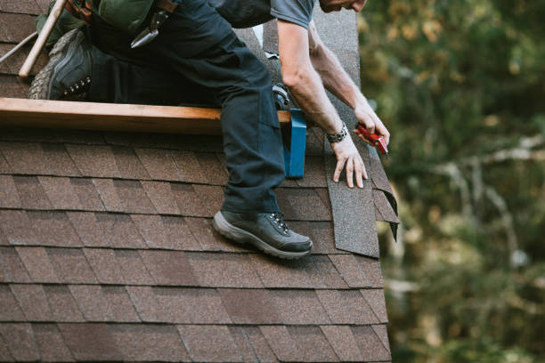 Best Gutter Installation and Roofing  in Ripley, MS